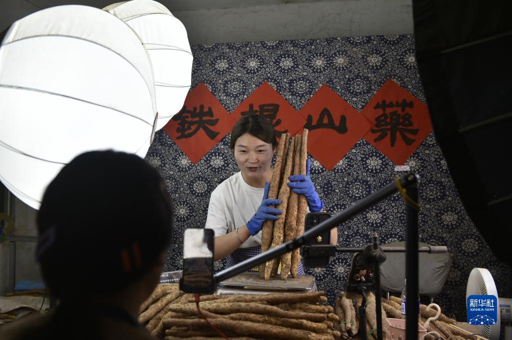 逍遥牛代理